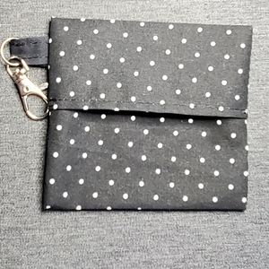 Mask carry case with layard